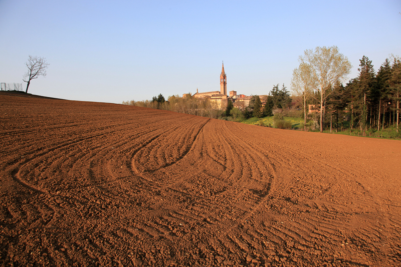 Castelvetro 2