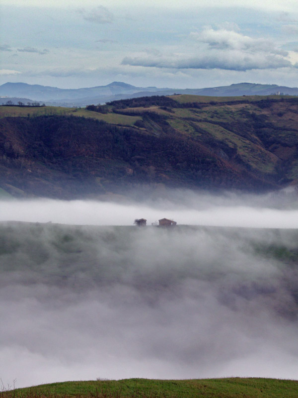 A lake of fog