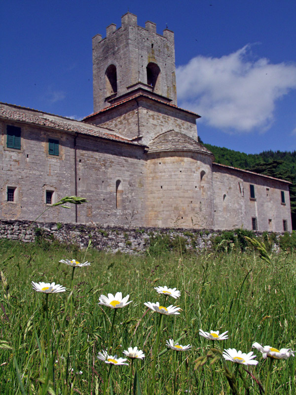 Daisy and tower