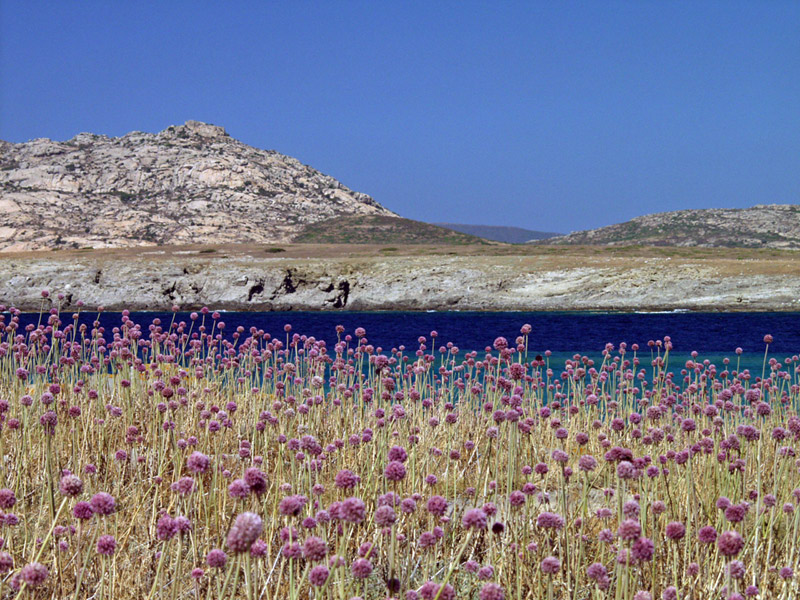 Sardinia Stintino