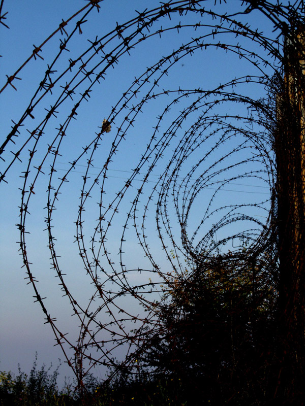 barbed wire