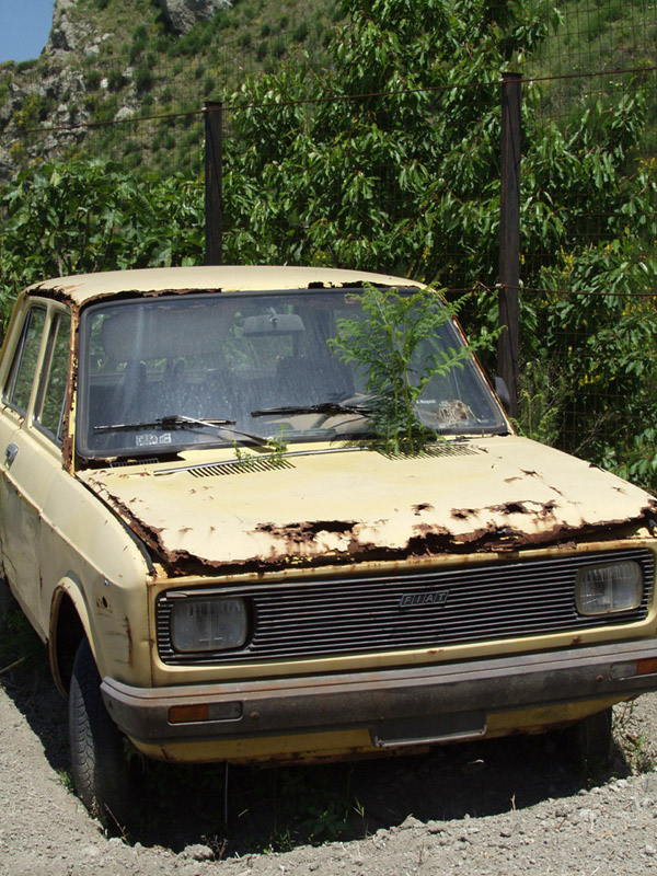 flowered car