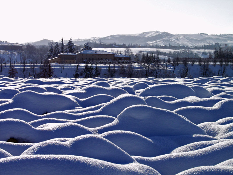 snowed blobs